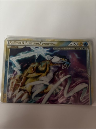 Pokemon raikou suicune - &,