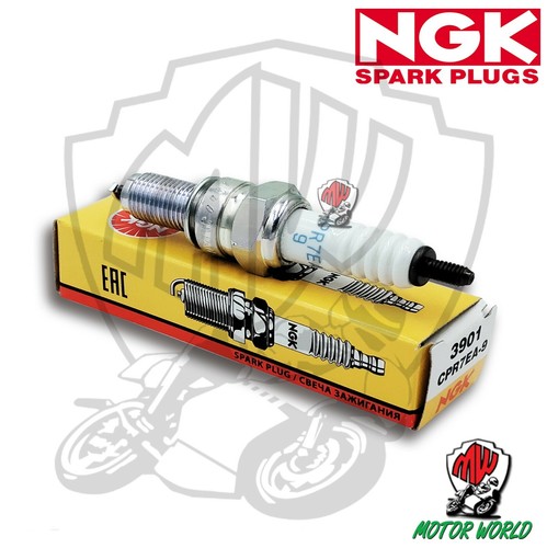 Candela spark plug ngk - plug,