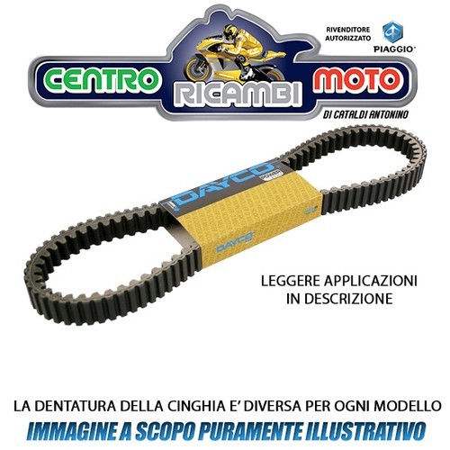 Cinghia trasmissione dayco - trasmissione,