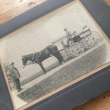 fotografia antica cavallo con