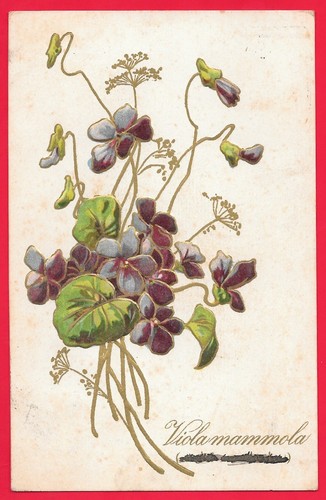 Cartolina rilievo fiori - fiori,