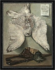 Snowy Owl Karel Purkyne gufo