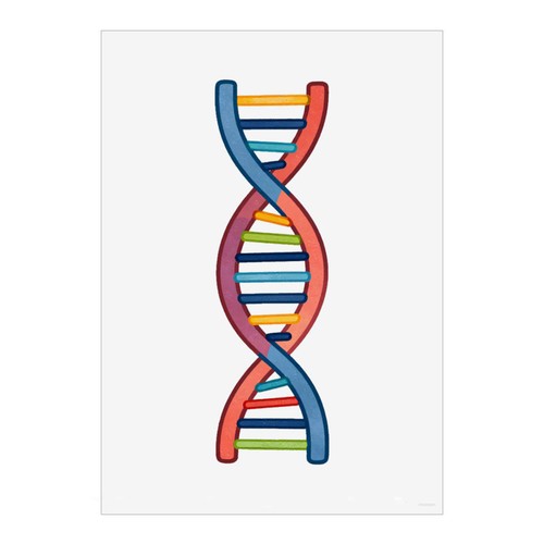 Stampa poster arte parete dna - poster,