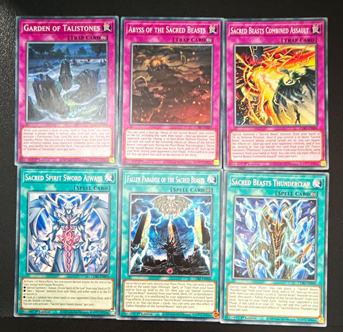 Sacred beast - -,
