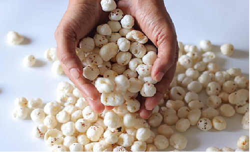 Makhana fox nuts - fox, tostato