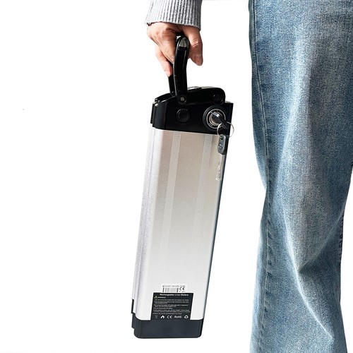 Silverfish batteria 36v - batteria,