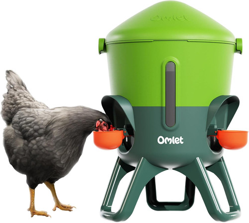 Irrigatore per pollo isolato - irrigatore,