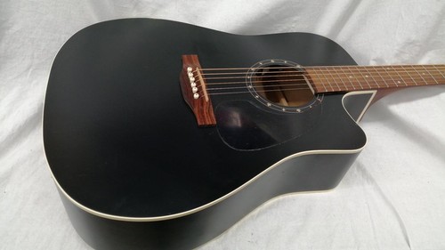 Norman b18cw acoustic - norman, electric