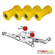 Boccole Dei Bracci Posteriori