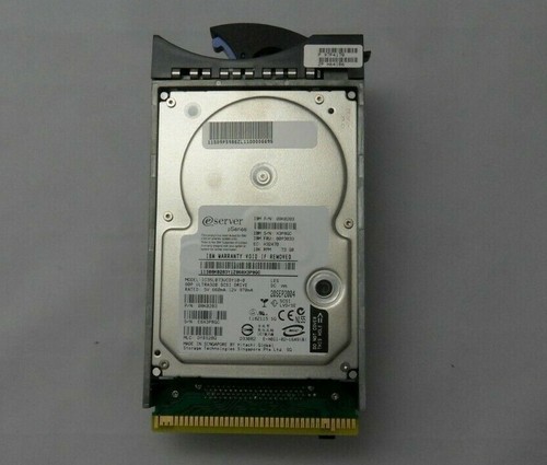 Ibm 5 pollici - gb,