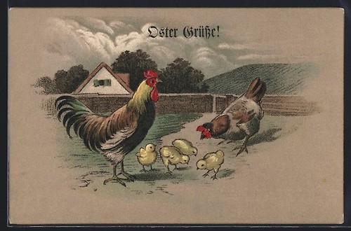 Cartolina gallo con gallina - gallo,