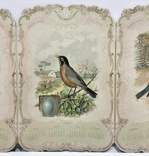 2413AH ~ Famiglia Vittoriana