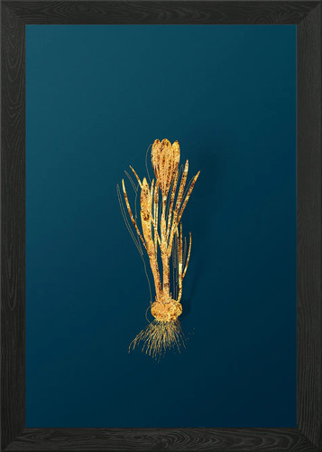 Quadro stampa tela poster - quadro, su