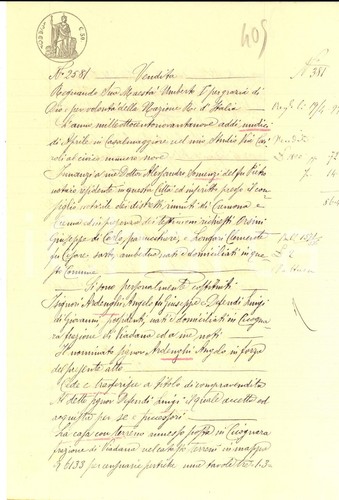 1899 cicognara angelo - cicognara,