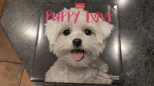 Calendario parete puppy - ,