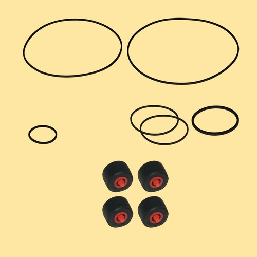 Cinghia rullo pressione kit - cinghia,