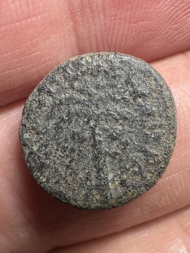 Antico seleucido greco - antico, romano