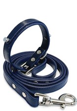 Collare per cani blu navy - collare,