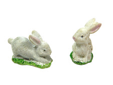 Famiglia con 2 Conigli per