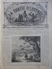 1857 1921 Beccaccia Uccello