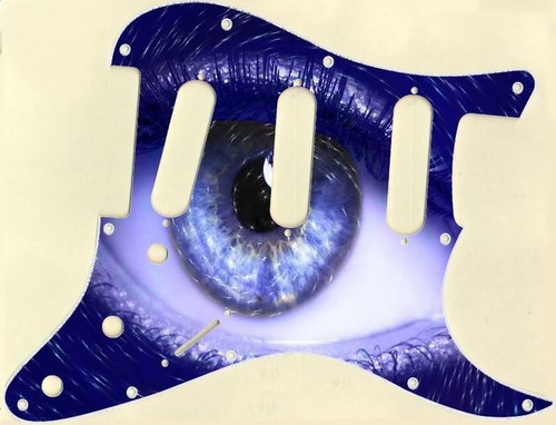 Stratocaster pickguard custom - stratocaster,