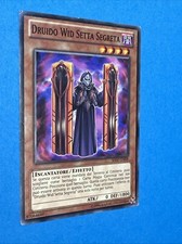 DRUIDO WID SETTA SEGRETA -