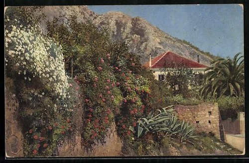 Cartolina artista fotocromia - cartolina,