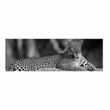 Quadro moderno lucido in plexiglass 50x150 cm LEOPARD RELAX
