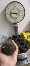 Tartufo nero fresco - tartufo, 300gr.-