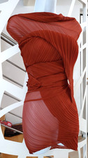 *****Miyake Pleats Please
