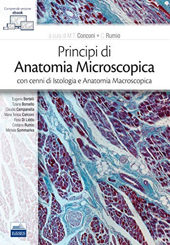 Principi anatomia - di,