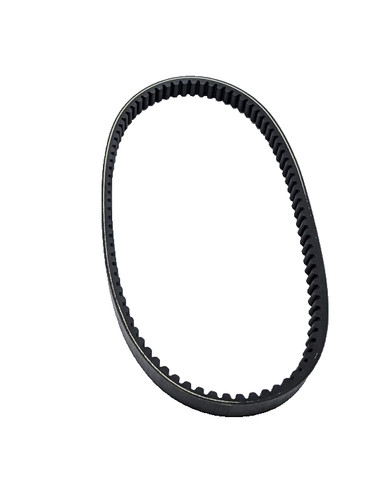 Cinghia trasmissione dayco - cinghia,