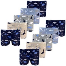 Boxer ragazzo dinosauro