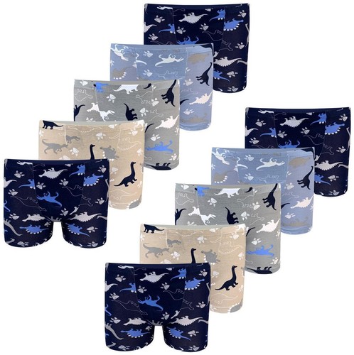 Boxer ragazzo dinosauro