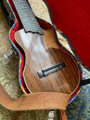 Charango lusso con sistema - di,