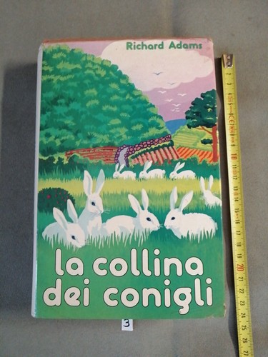 Collina dei conigli - collina,