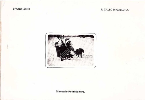 Locci il gallo di - locci,