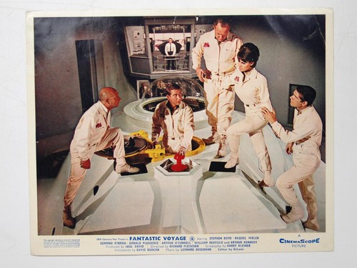 Fantastic voyage stephen boyd - fantastic,