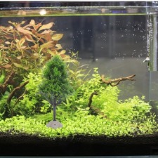  Piante Finte Per Acquario