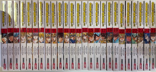 Saint seiya cavalieri dello - saint,