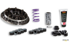 Variatore MALOSSI multivar