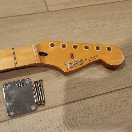 2004 mim fender standard - mim,