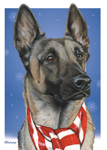 Cartoline natale belgian - cartoline,