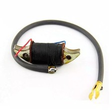 BOBINA DI ACCENSIONE INTERNA