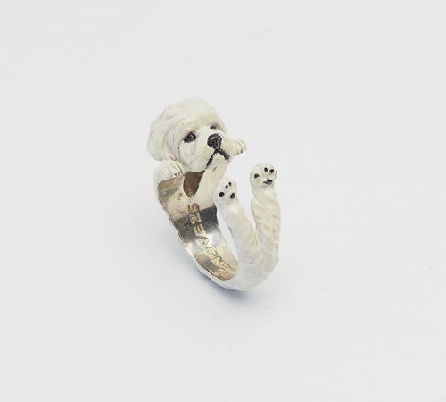 Carino giro cane - cane, bianco