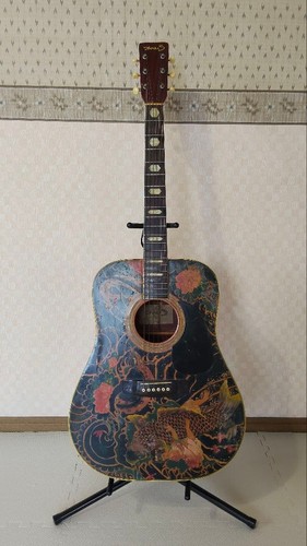 Chitarra acustica suzuki - acustica,