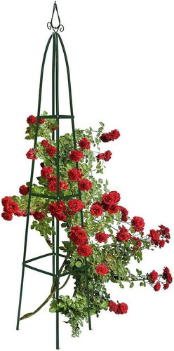 Supporto per piante rampicanti - supporto,