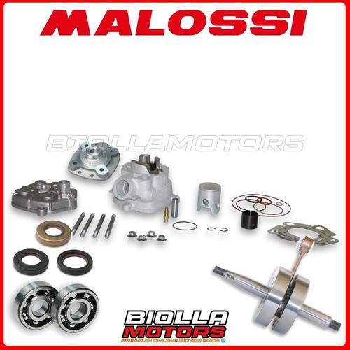 Kit cilindro albero malossi - cilindro,
