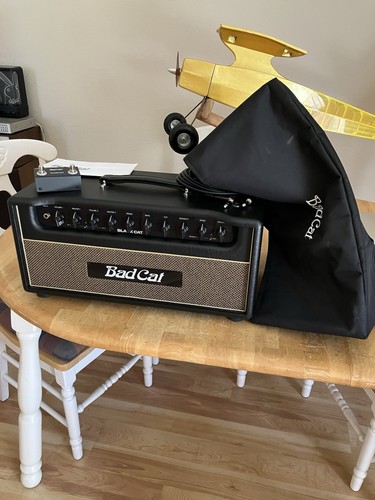 Bad cat black - cat, 20w
