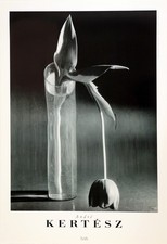 Poster originale: KERTESZ Andre', Melancholic Tulip, New York 1939/1989 Art&
